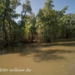 Donaudelta Naturfoto Willner Naturfoto WillnerDSC_0865