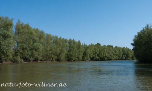 Donaudelta Naturfoto Willner _0154_C0000_000092