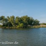 Donaudelta Naturfoto Willner _1003_C0001_000119