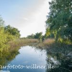 Donaudelta Naturfoto Willner _2017-08-20_1005_C0005_000051