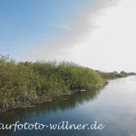 Donaudelta Naturfoto Willner _2017-08-20_1009_C0000_000033