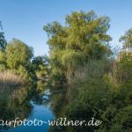 Donaudelta Naturfoto Willner _2017-08-20_1038_C0003_000019