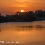 Donaudelta Naturfoto WillnerDSC_1767