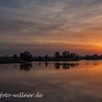 Donaudelta Naturfoto WillnerIMG_8897