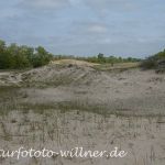 Donaudelta Sanddünen Naturfoto Willner1_2017-08-21_0337_C0001_000023