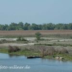 Donaudelta Sanddünen Naturfoto WillnerDSC_1676