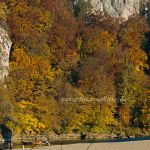 Donaudurchbruch Weltenburg Foto W. Willner_2016-12-21_1714_C0003_000043