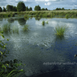 Ewiges Meer 2 Foto W. Willner