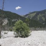 Friedergries bei Garmisch Partenkirchen