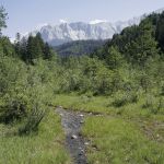 Friedergries bei Garmisch Partenkirchen