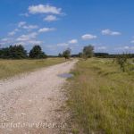 Fröttmanninger Heide Foto W. Willner32