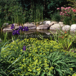 Gartenteich 9 Foto W. Willner