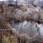 Gartenteich im Winter 2 Foto W. Willner