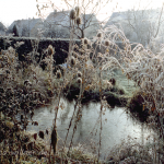 Gartenteich im Winter Foto W. Willner