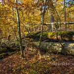 Hienheimer Forst NSG Ludwigshain Foto W. Willner _2016-12-21_1549_C0000_000065