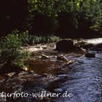 Ilz in Nähe der Schrottenbaummühle Niederbayern Foto W. Willner 030