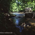 Ilz in Nähe der Schrottenbaummühle Niederbayern Foto W. Willner 873