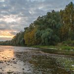 Isarkiesbänke Foto W. Willner 20 (3)