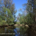 Isarmündung Altwasser Foto W. Willner 046