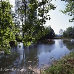 Isarmündung Altwasser Foto W. Willner 871