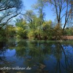 Isarmündung NSG Altwasser Foto W. Willner img223