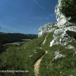 Kallmünz Trockenrasen Foto W. Willner 491