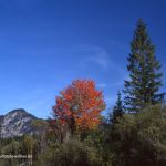 Karwendellandschaft Naturfoto Willner 474