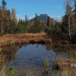 Kemmatsrieder Moor am Oberjoch 14 Foto W. Willner