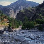Kreta Samaria Schlucht Foto W. Willner -22