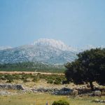 Montenegro Nationalpark Lovcen Foto W. Willner DSC_8736