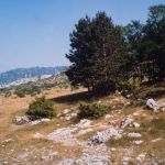 Montenegro Nationalpark Lovcen Foto W. Willner _8774