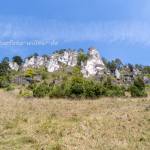 NSG Arnsberger Leite 1 Foto W. Willner