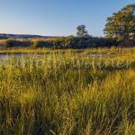 NSG Dachsberg 24 Foto W. Willner