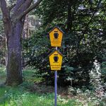 NSG Damerower Werder Nationalpark Müritz Foto W. Willner_0799