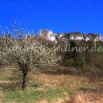 NSG Ehrenbürg Fränkische Schweiz Foto W. Willner 826