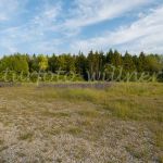 NSG Freisinger Buckel Foto W. Willner 2