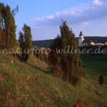 NSG Gungoldinger Wacholderheide Foto W. Willner_718