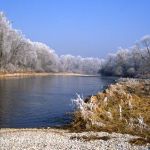 NSG Mittlere Isarauen Foto W. Willner 320