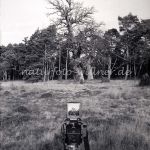 NSG Nöttinger Viehweide Foto W. Willner 676