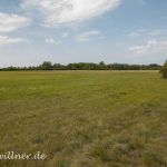 NSG Pischelsdorfer Wiesen Österreich Foto W. Willner _2017-07-29_0558_C0000_000100