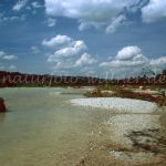 NSG Pupplinger Au Isar Foto W. Willner 945