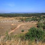 NSG Tennenlohe Foto W. Willner 301