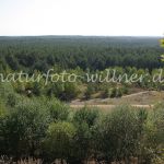 NSG Tennenlohe Foto W. Willner 426