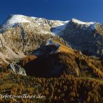 Nationalpark Berchtesgaden Blick vom Jenner zum Schneibstein Foto W. Willner 677