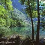 Nationalpark Berchtesgaden Hintersee Foto Wolfgang Willner Naturfoto-474