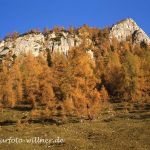 Nationalpark Berchtesgaden Jenner 183 Foto W. Willner