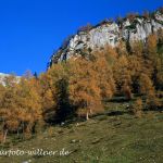 Nationalpark Berchtesgaden Jenner Foto W. Willner 686