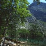 Nationalpark Berchtesgaden Obersee Foto Wolfgang Willner Naturfoto-244