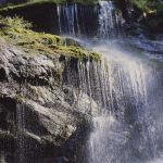 Nationalpark Berchtesgaden Wimbachklamm Foto Wolfgang Willner Naturfoto-204