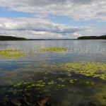 Nationalpark Müritz Foto W. Willner_0849